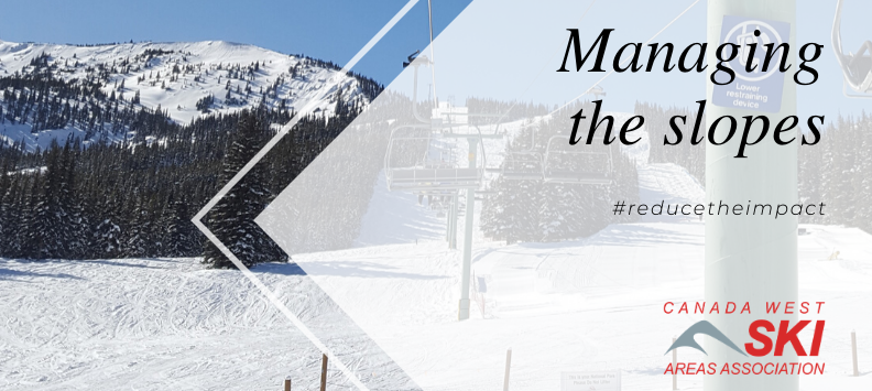 Featured image for “Reduce the impact: managing the slopes”